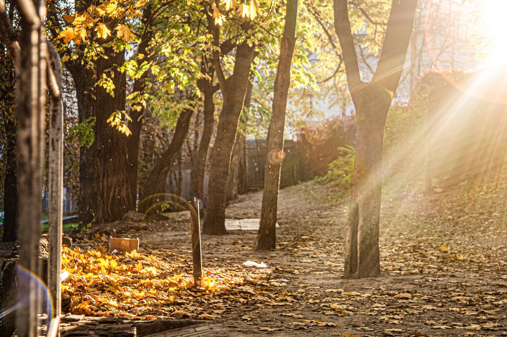 Свет осеннего солнца...