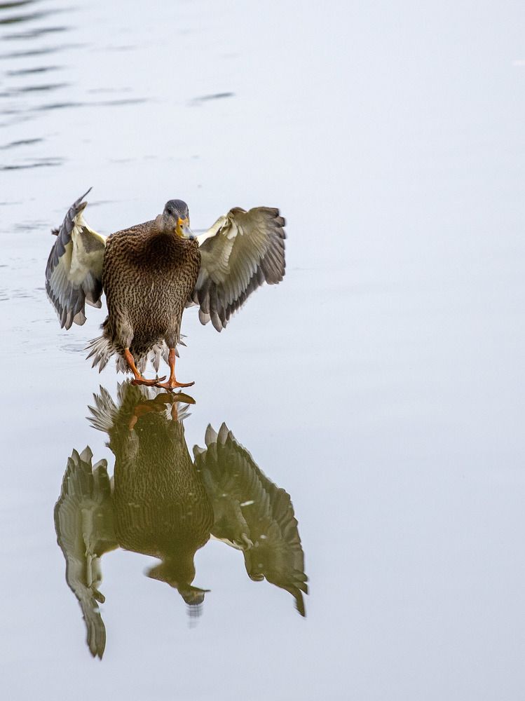 Photograph by Юрий Епифанцев