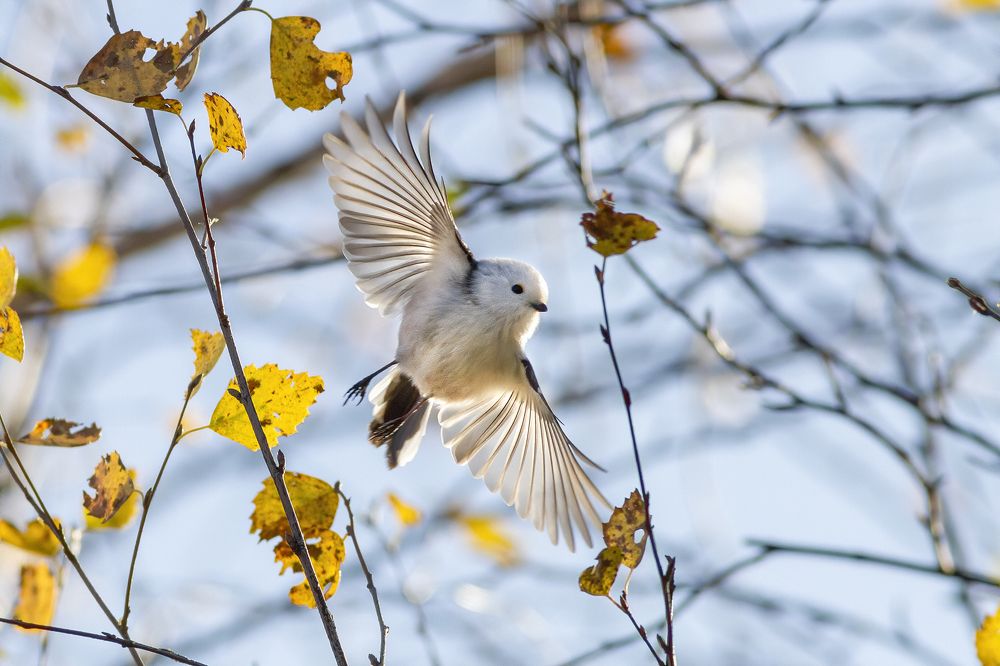 Photograph by Дмитрий Поршнев