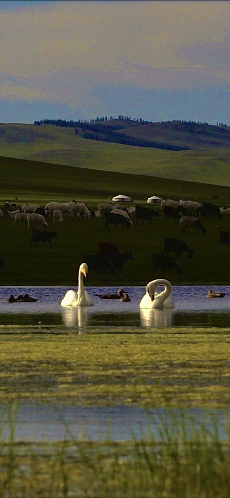 Photograph by Batsaikhan Badamdorj