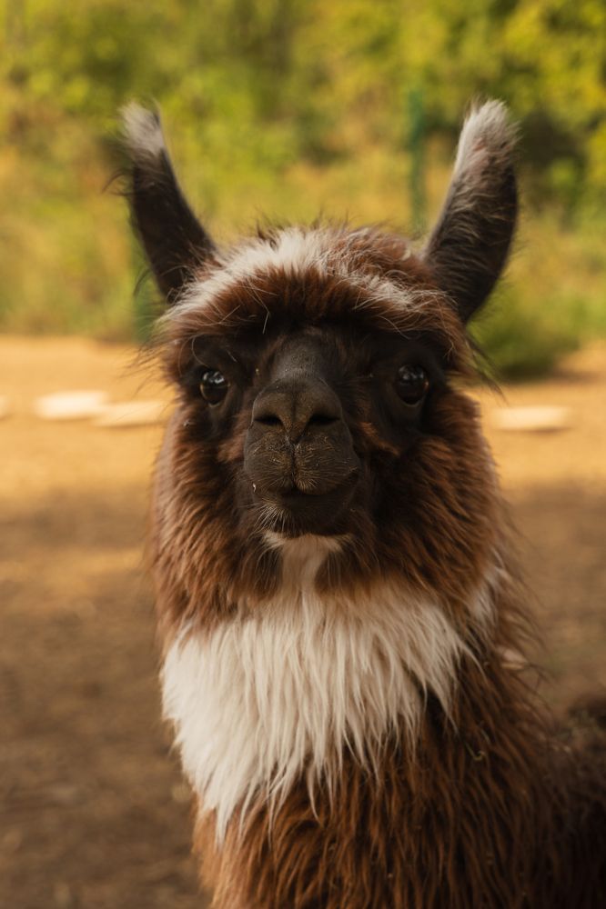 Photograph by Тишков Сергей