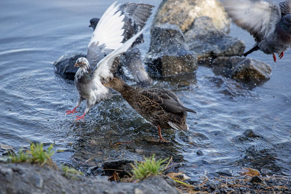 Photograph by Юрий Епифанцев