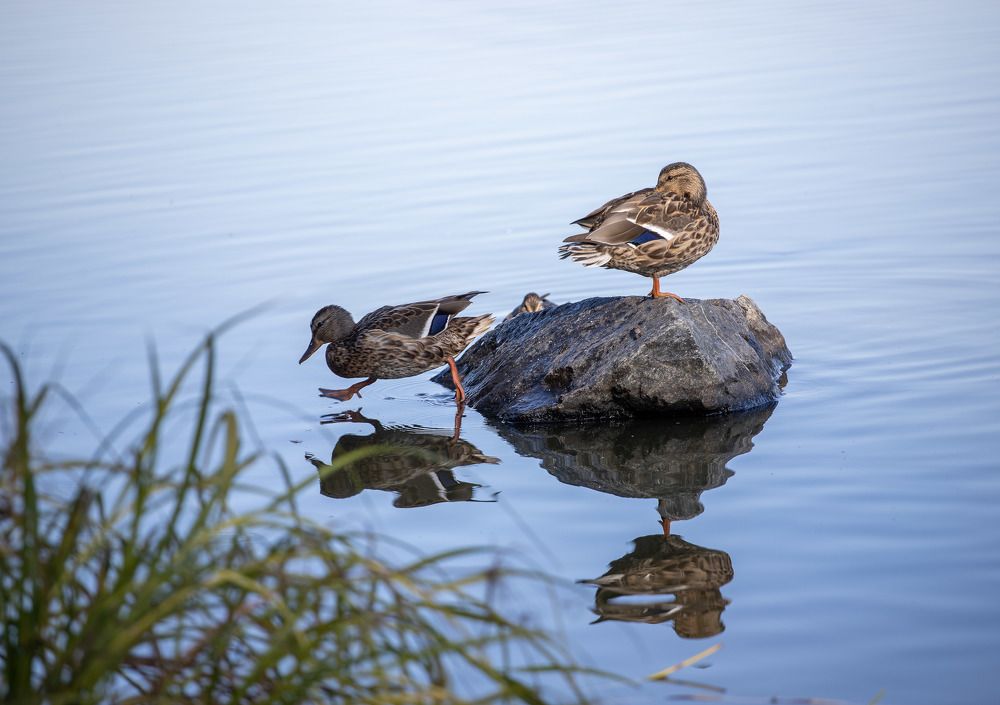 Photograph by Юрий Епифанцев