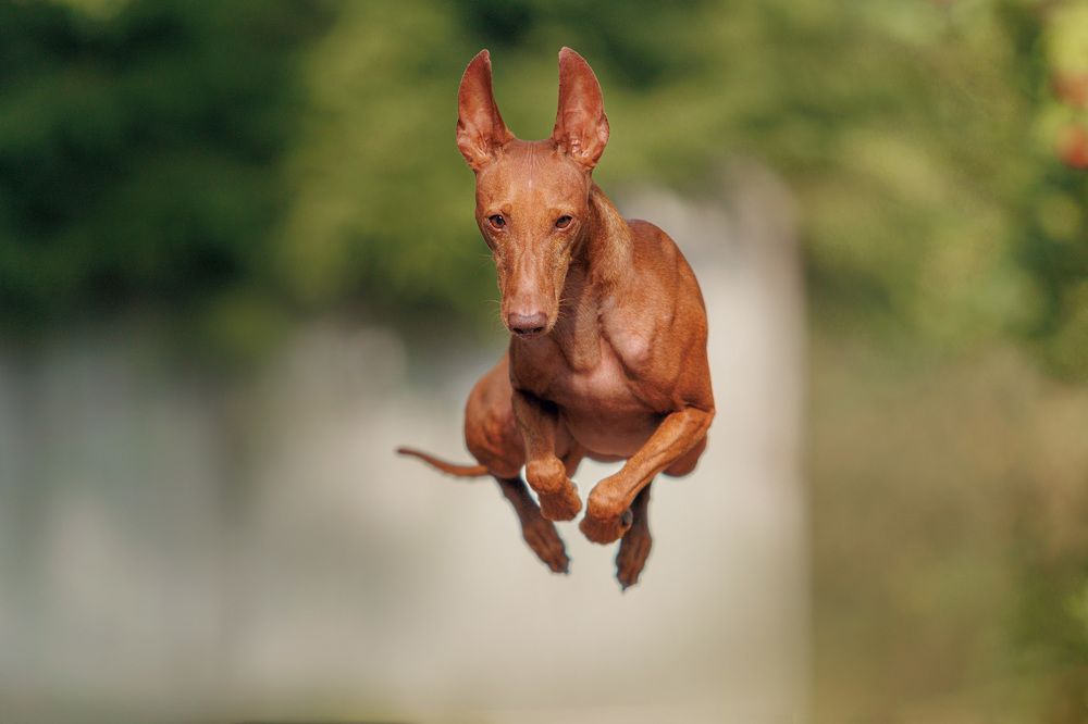 Photograph by Яна Нарбутович