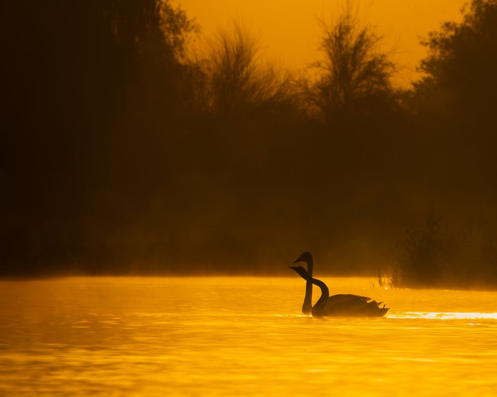 Фотография автора Sibin Nelson