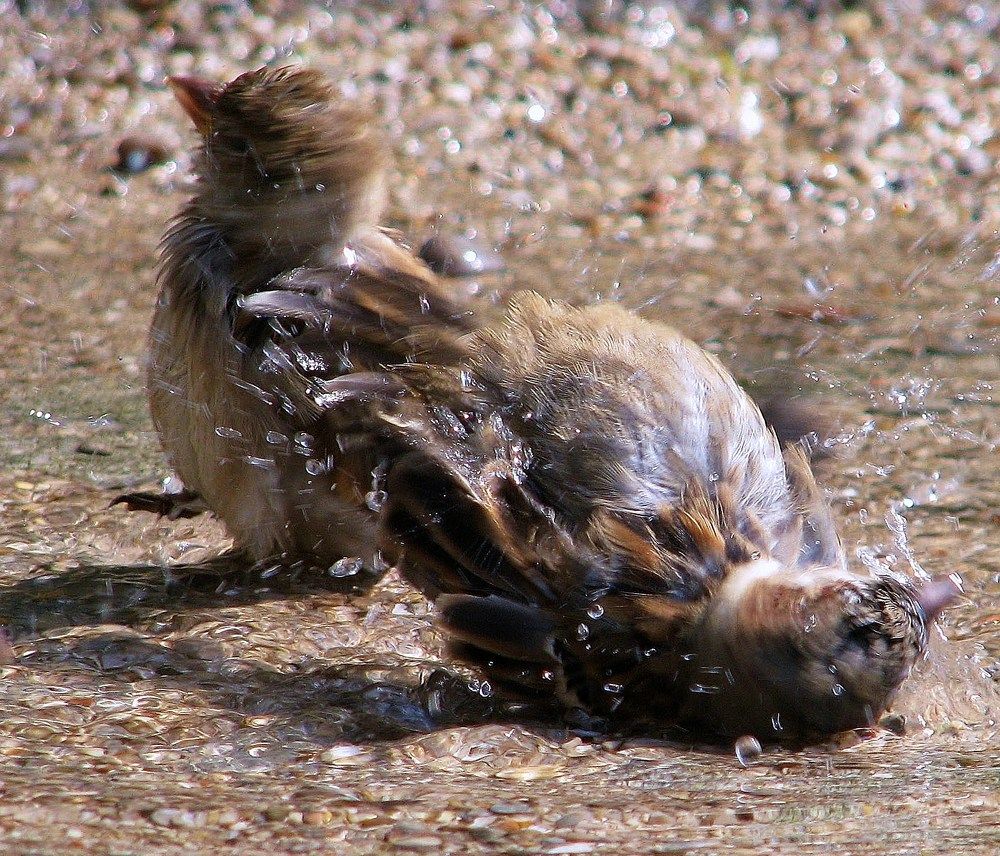 Photograph by Жанна Нечаева