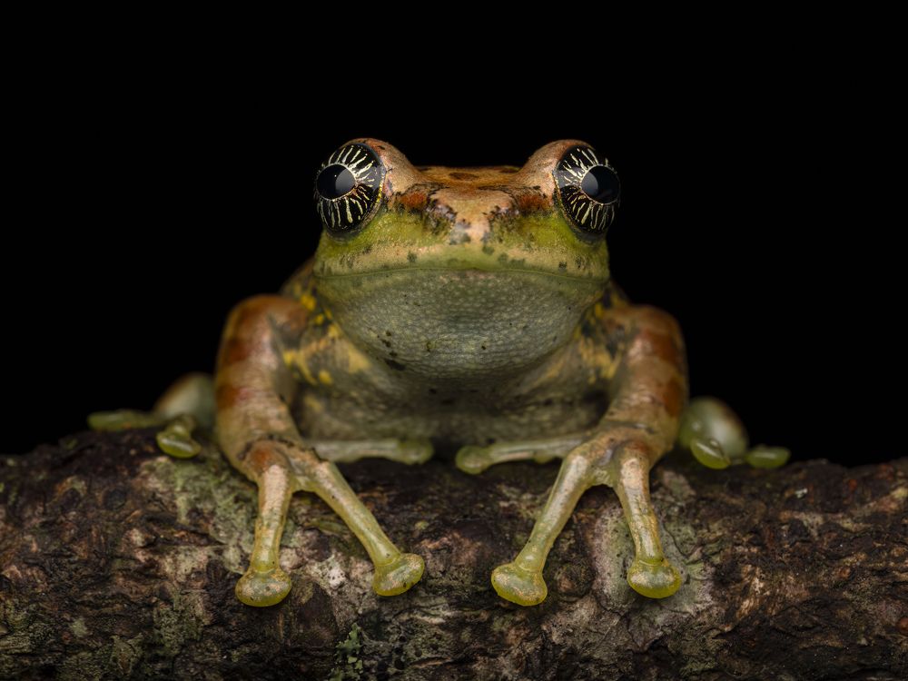 Фотография автора Sibin Nelson