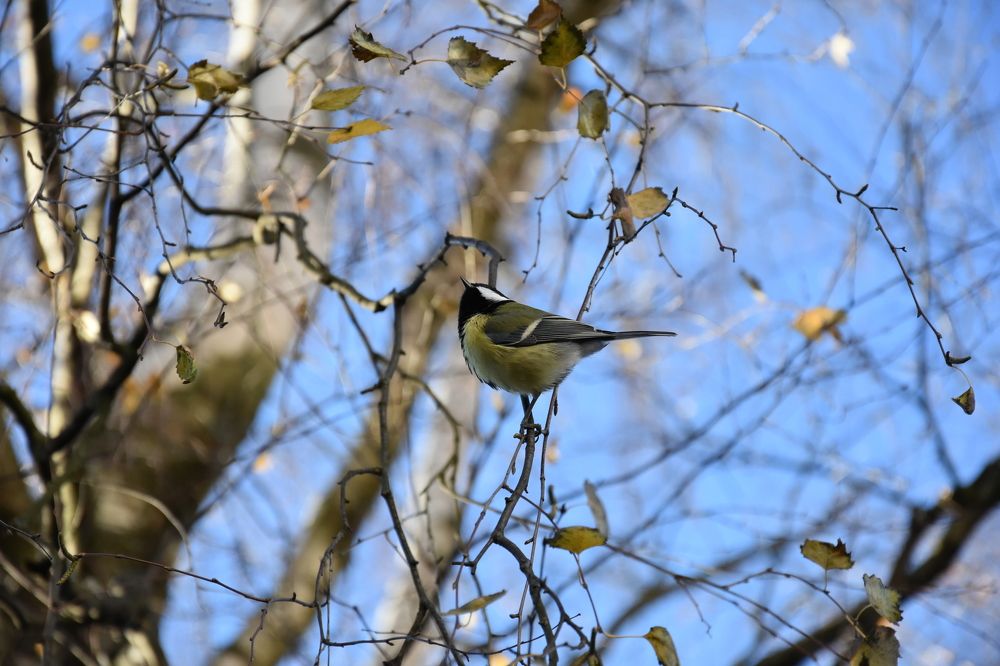 Photograph by Юлия Финогенова