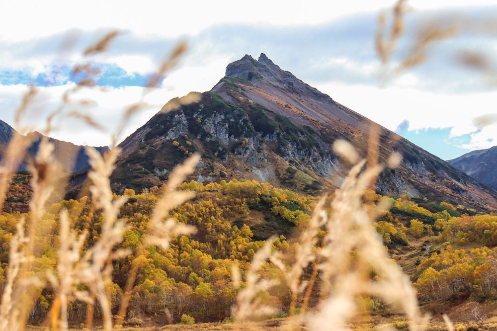 Photograph by Александра Красникова