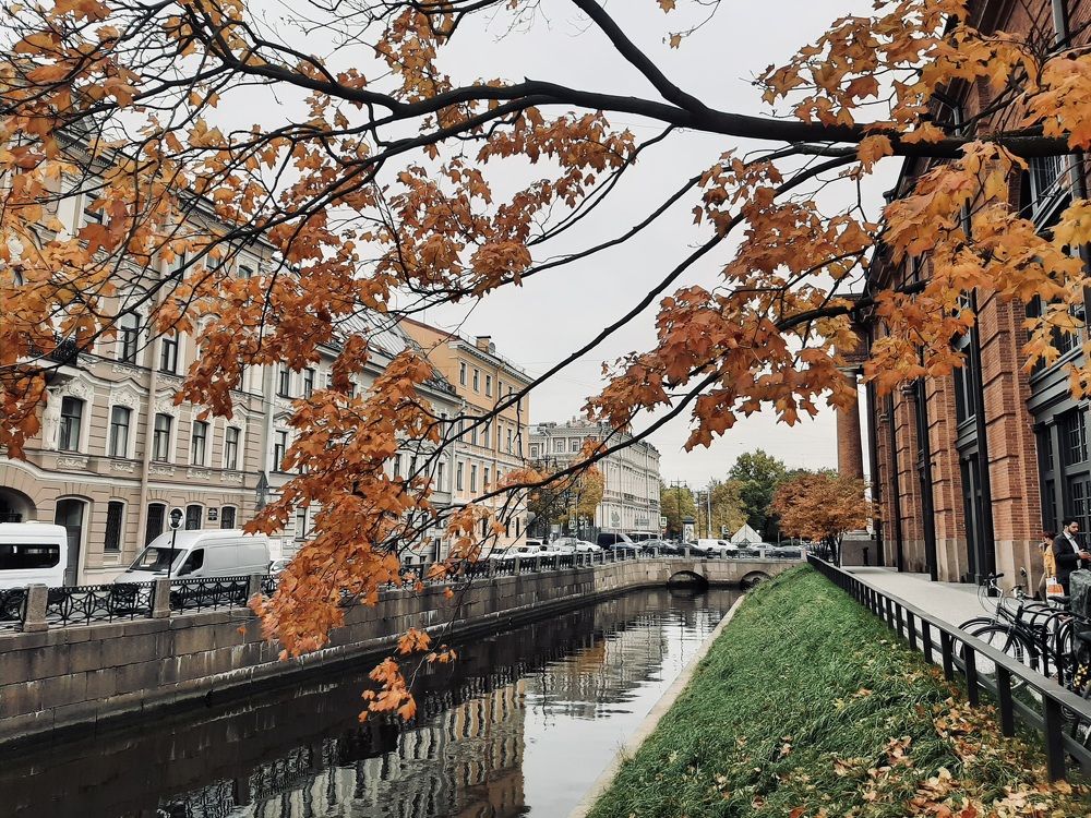 Photograph by Елена Маркова