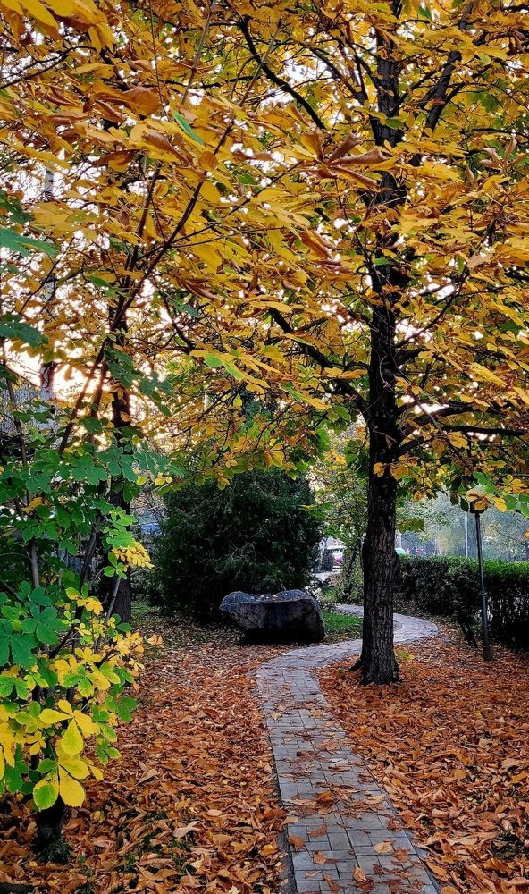 Photograph by Метушова Анна