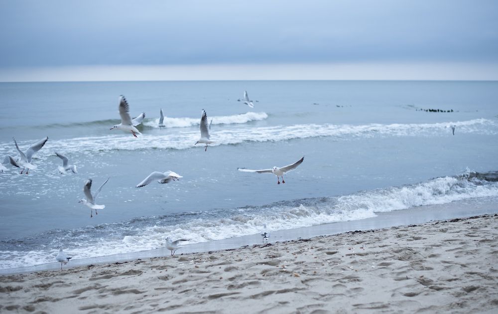 Photograph by Марина Шевцова