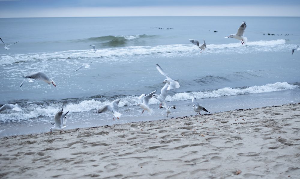 Photograph by Марина Шевцова