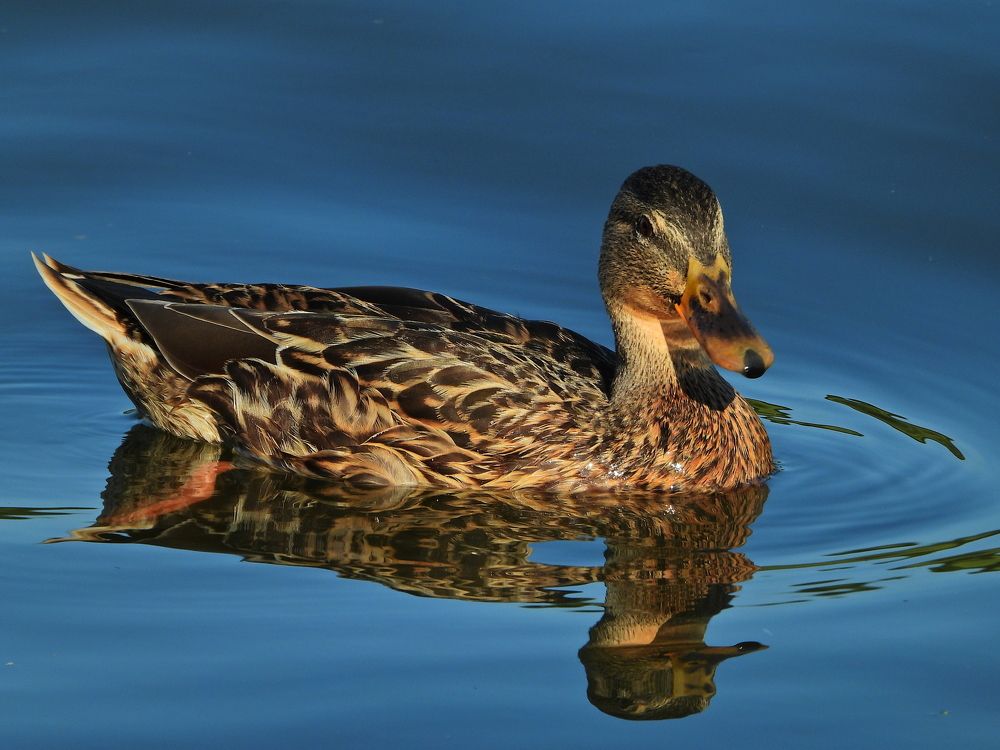 Photograph by Дмитрий Юдин