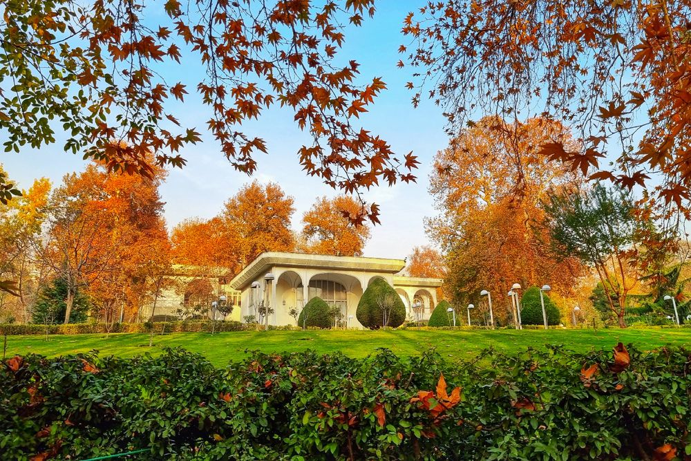 Фотография автора Zahra Seyedmorti