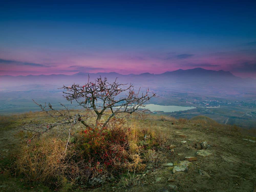 Photograph by Dar Veter