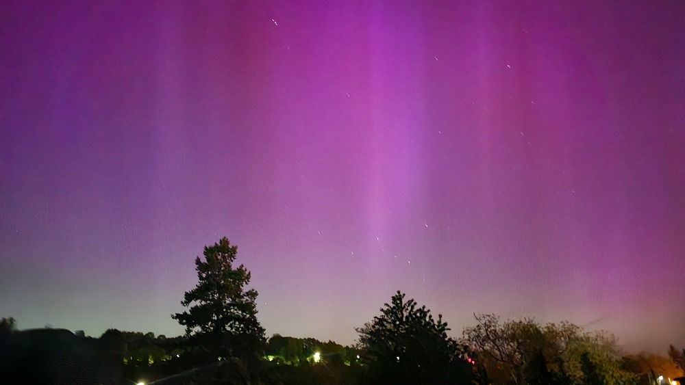 Photograph by Olga Siebert