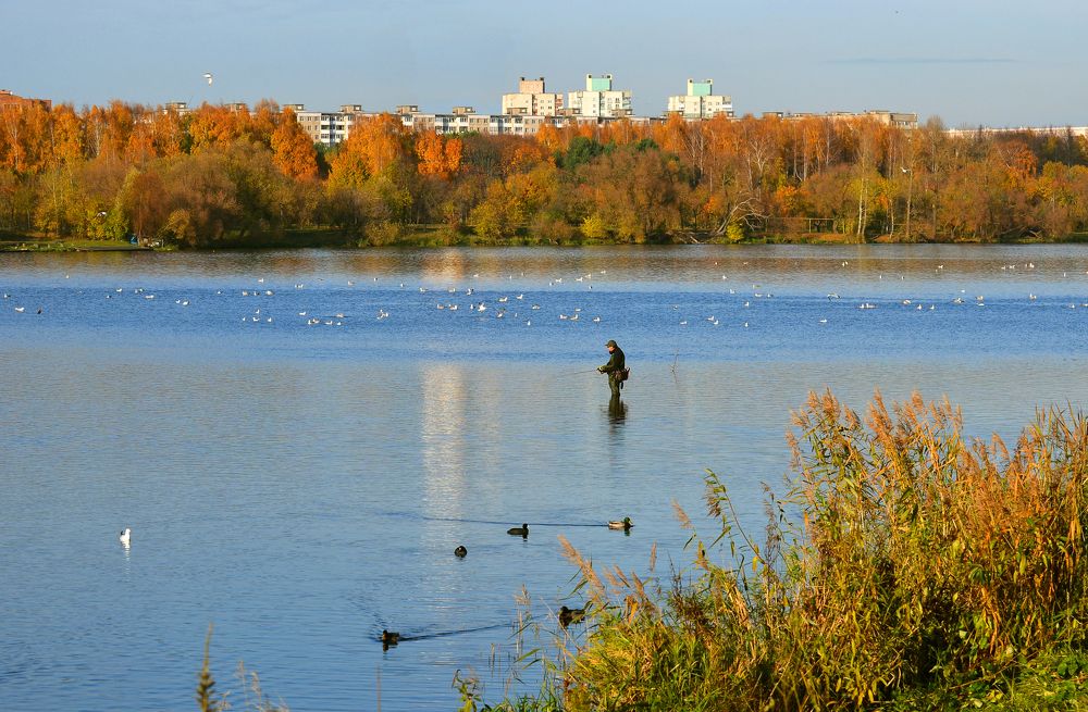 Фотография автора Антип
