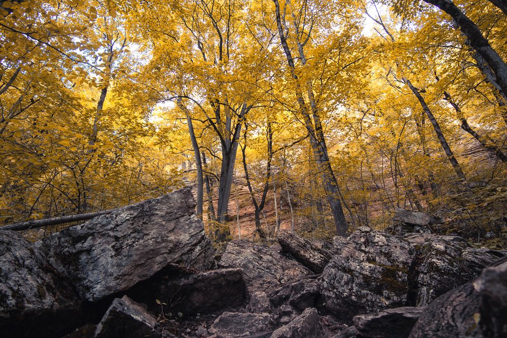 Фотография автора Вадим Коваленко