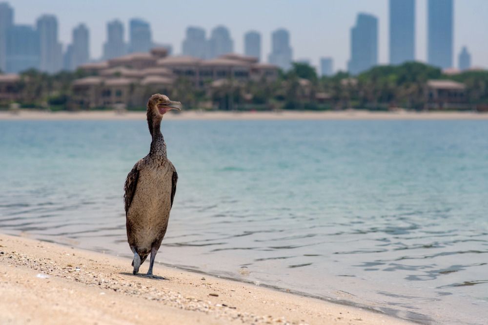 Photograph by Демьян Лопатов