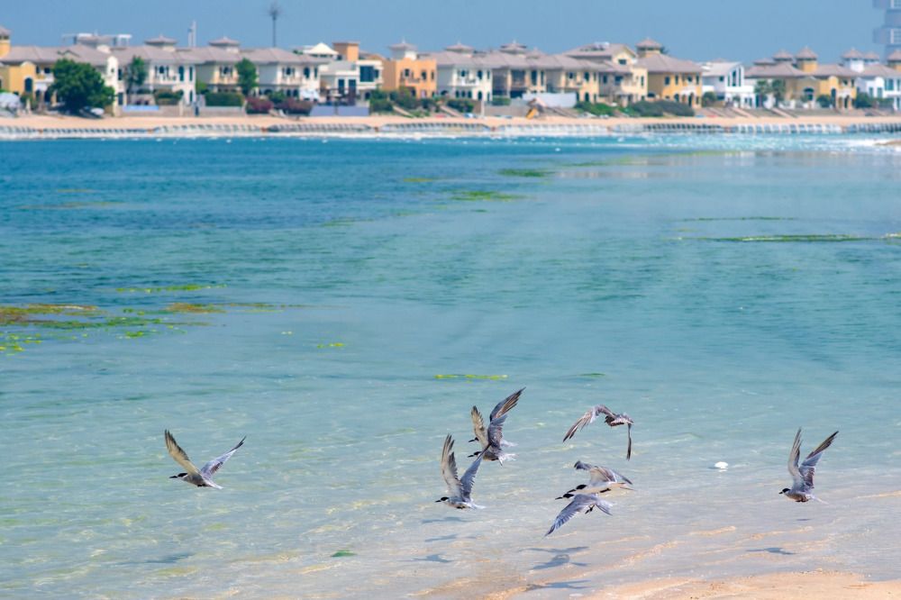 Photograph by Демьян Лопатов