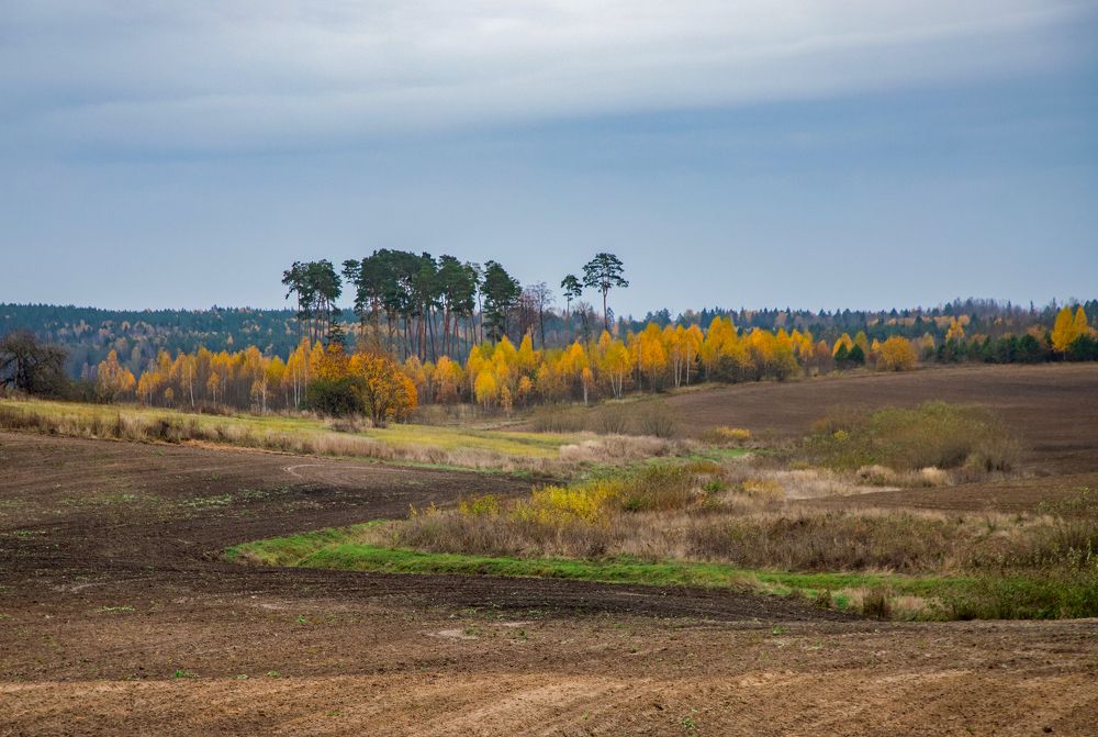 Photograph by Анна Евдокименко