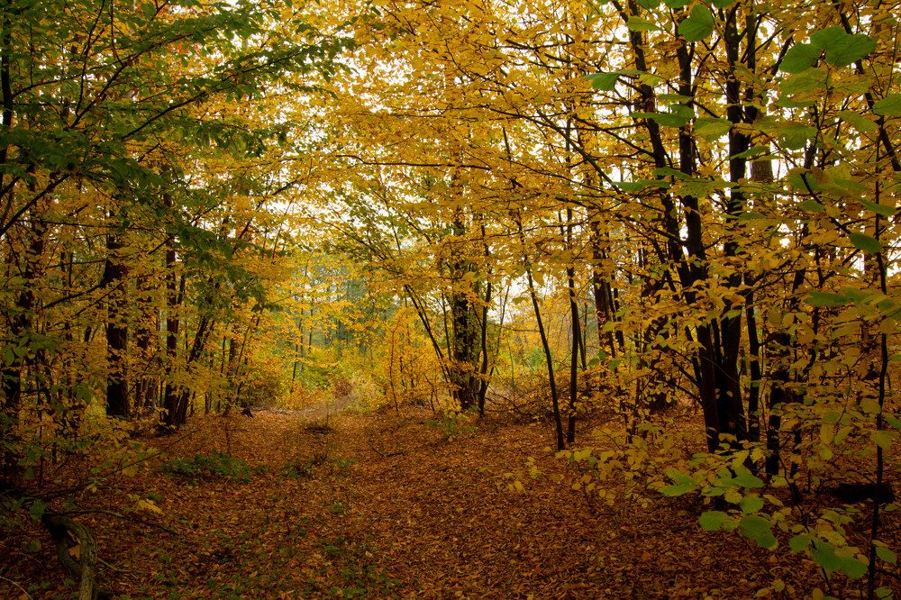 Photograph by Анна Евдокименко