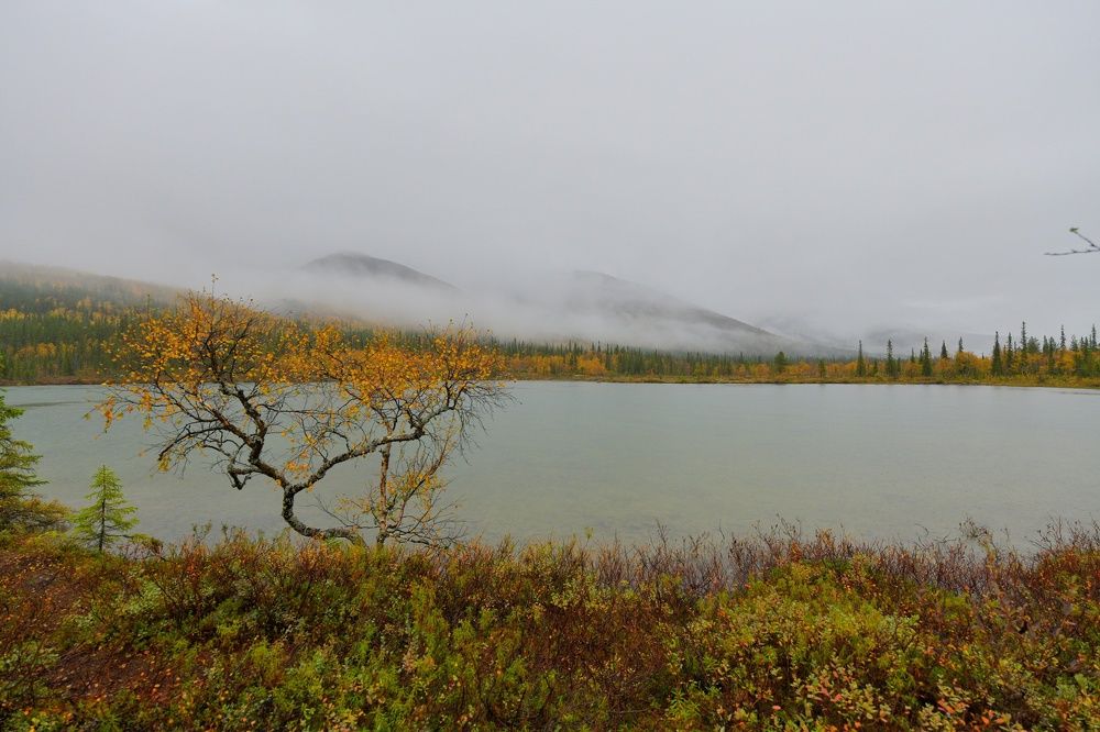 Photograph by Margareth Tikhonova