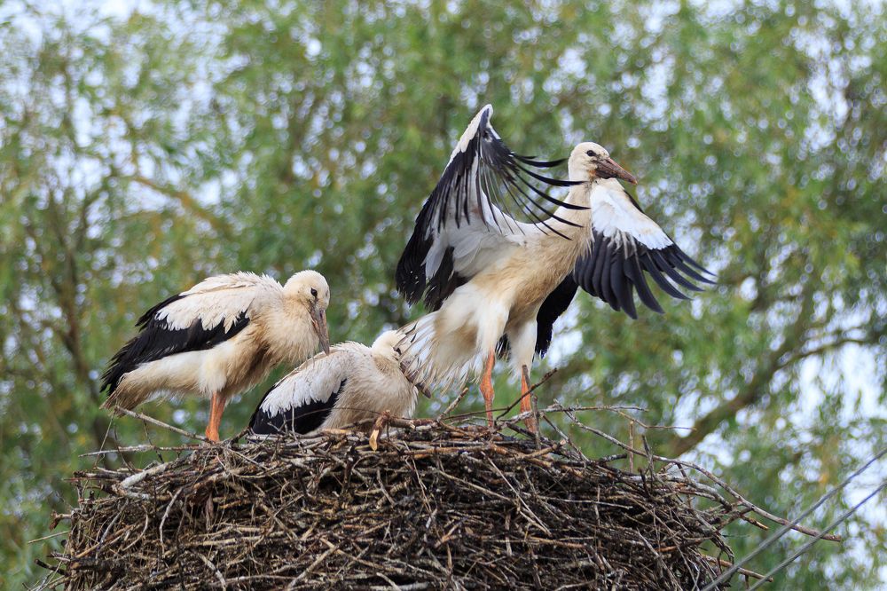 Photograph by Максим Шелякин
