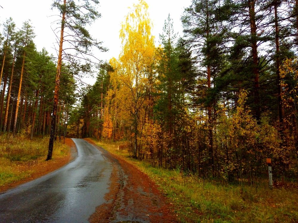 Photograph by Юлия Иванова