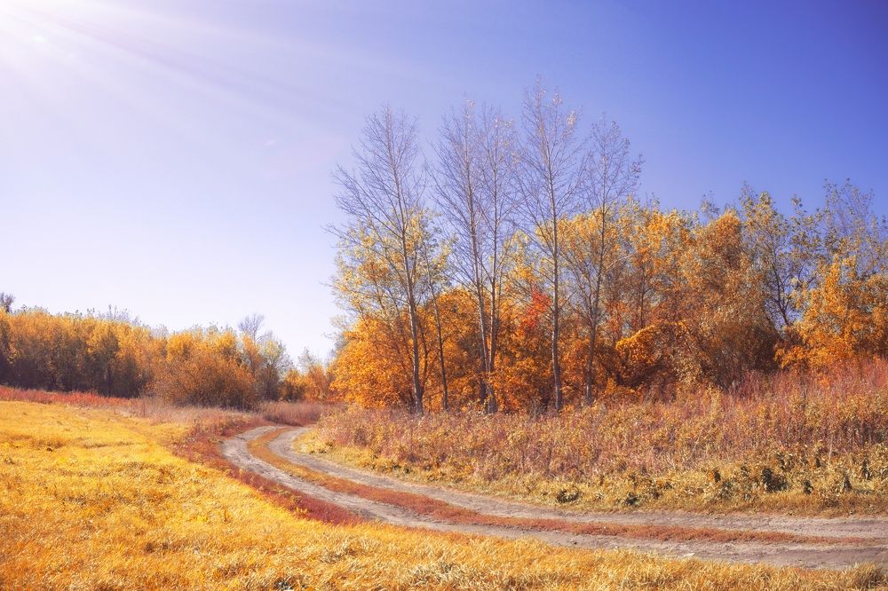 Photograph by Елена Шабельникова