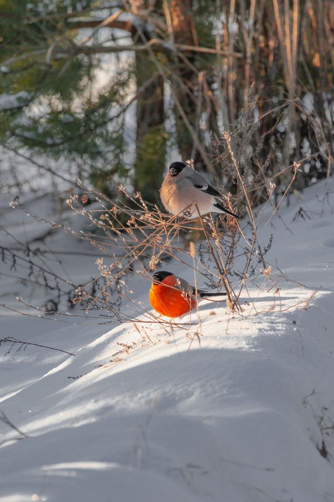 Photograph by Сергей Зайцев