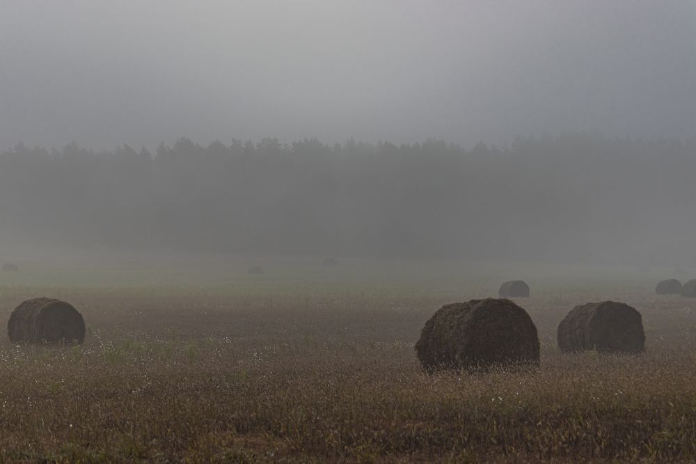 Photograph by Сергей Зайцев