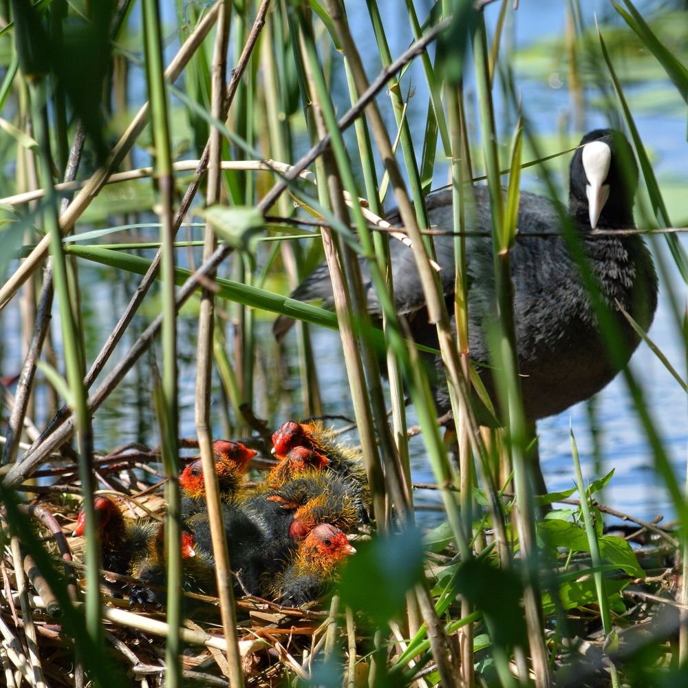 Photograph by Анна Зорька