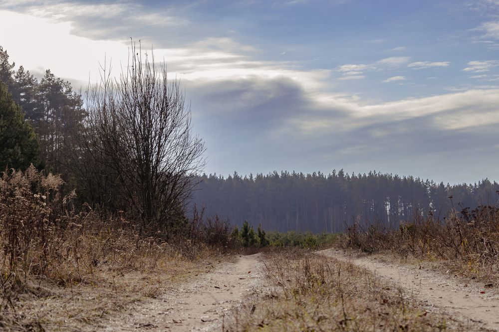 Осенняя дорога