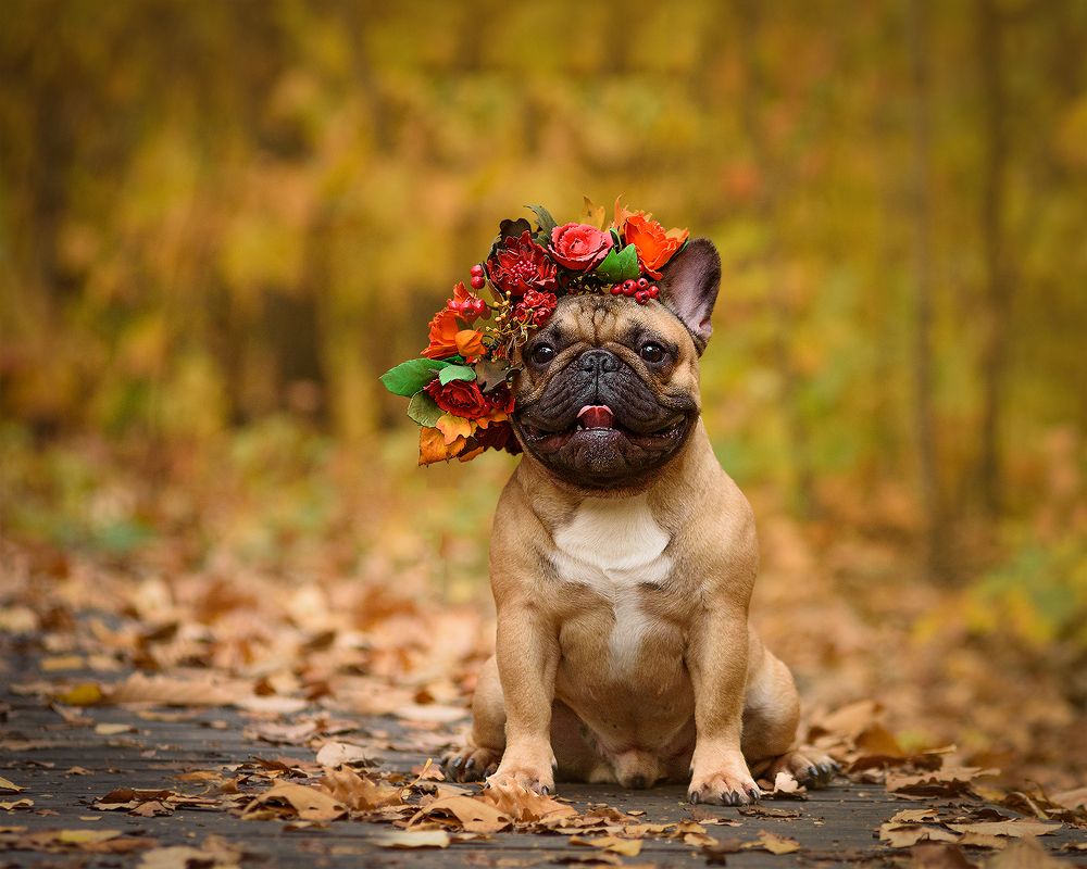 Photograph by Виктория Сафонова