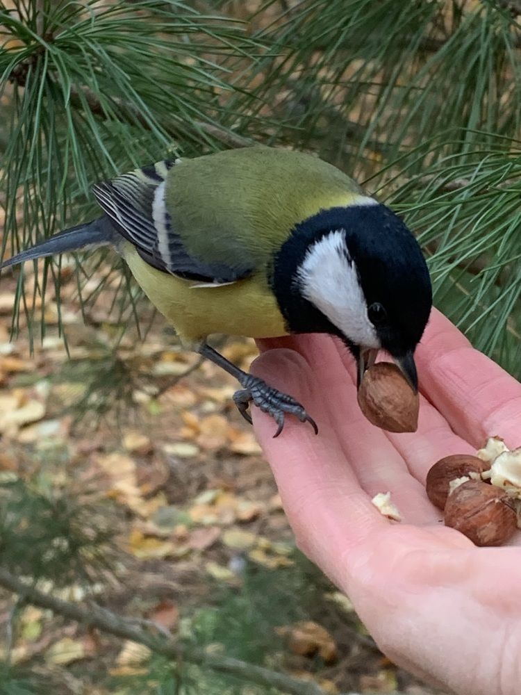 Photograph by Наталья Бирук