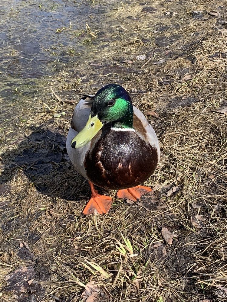 Photograph by Наталья Бирук