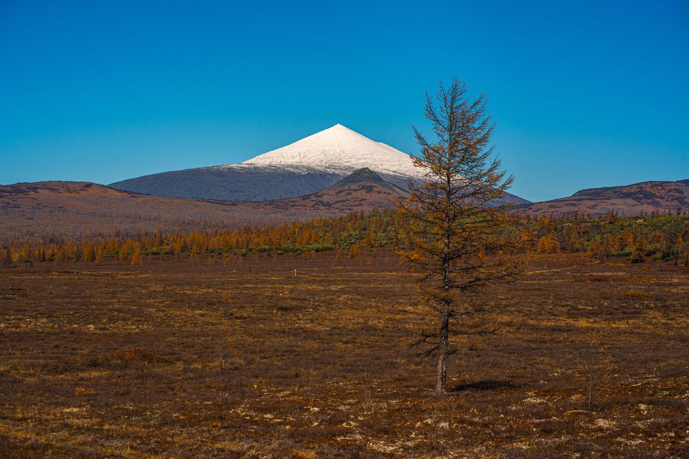 Фотография автора Антон Сандалов