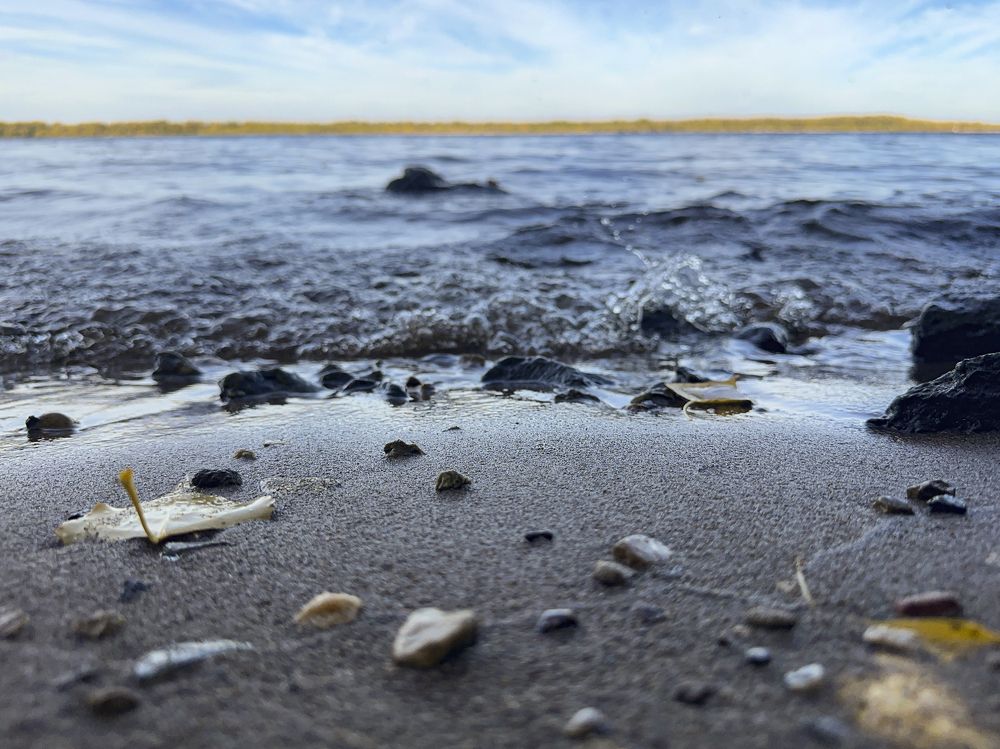 Фотография автора Dariya Olkhovskaya