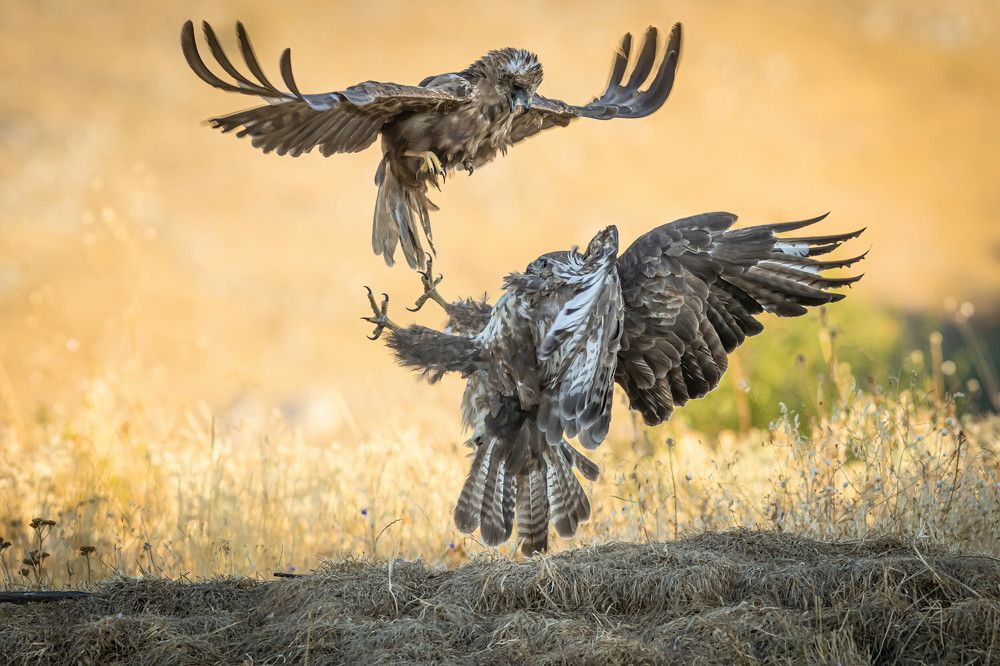 Photograph by Nikolay Stoyanov