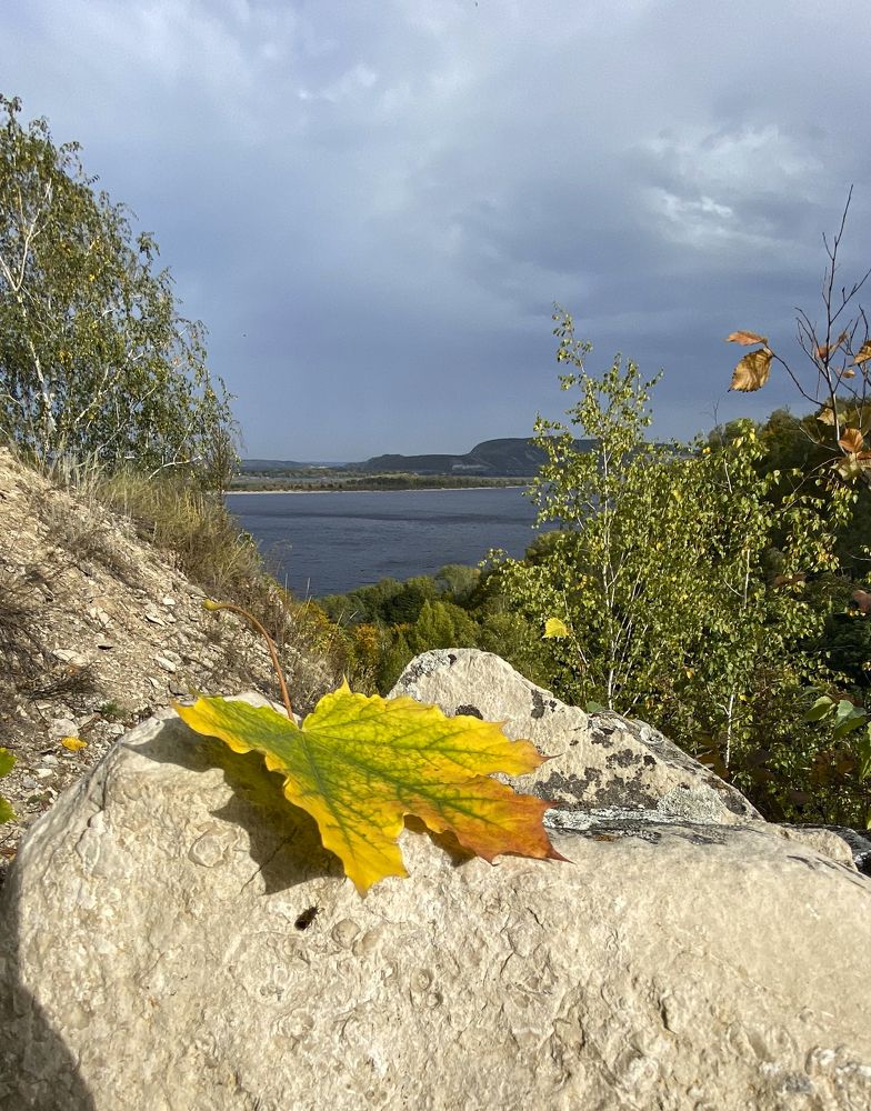 Фотография автора Dariya Olkhovskaya