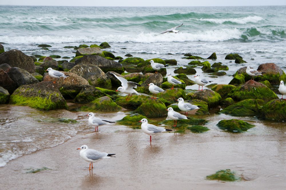 Фотография автора Ксения