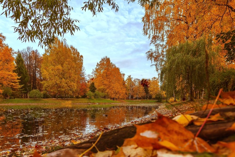 Осенний парк