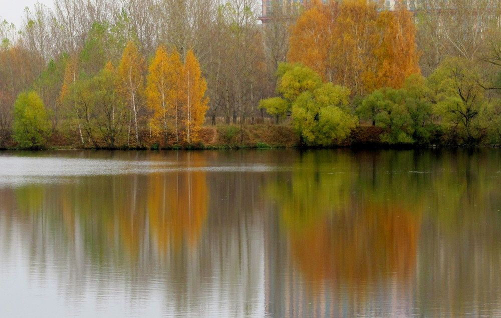 Photograph by Жанна Нечаева