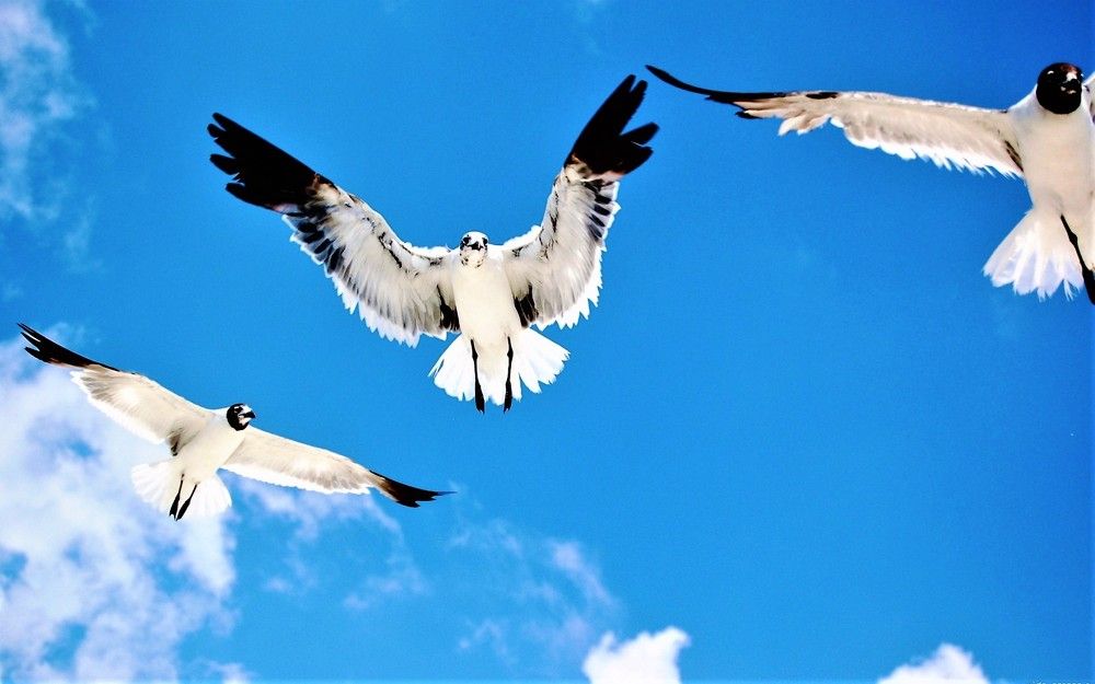 Photograph by Галина