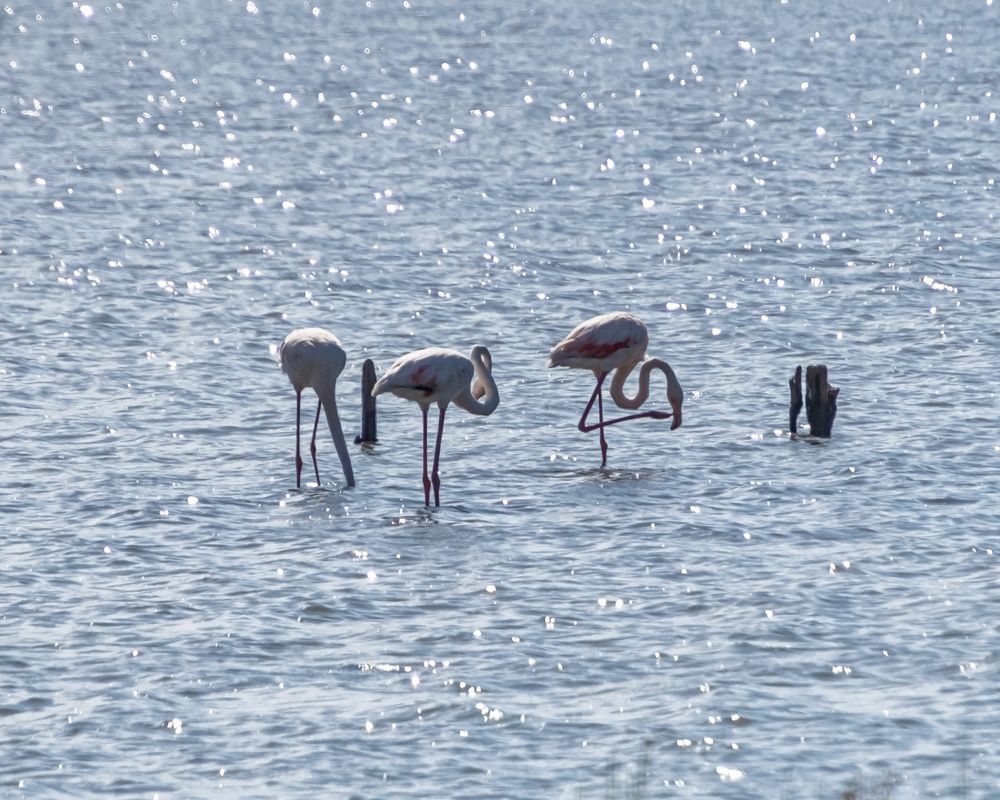 Photograph by Дмитрий Поваляев