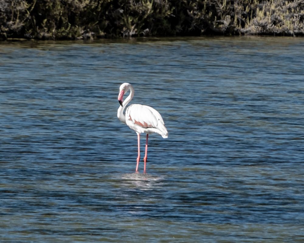 Photograph by Дмитрий Поваляев