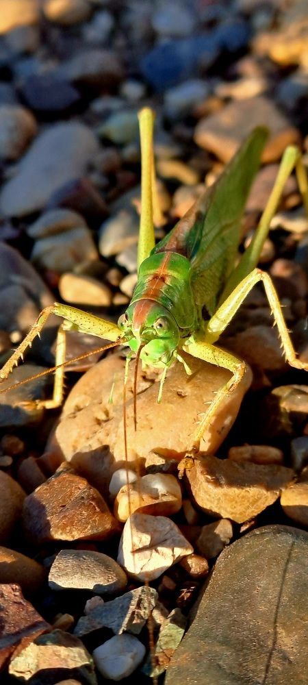 Photograph by Александра Насырова