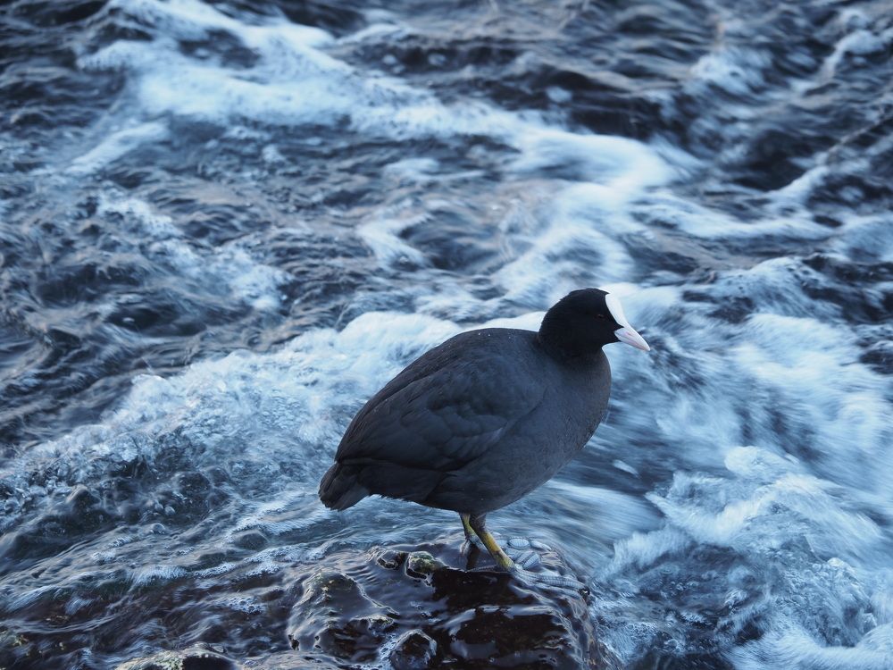 Photograph by Сергей Борисов